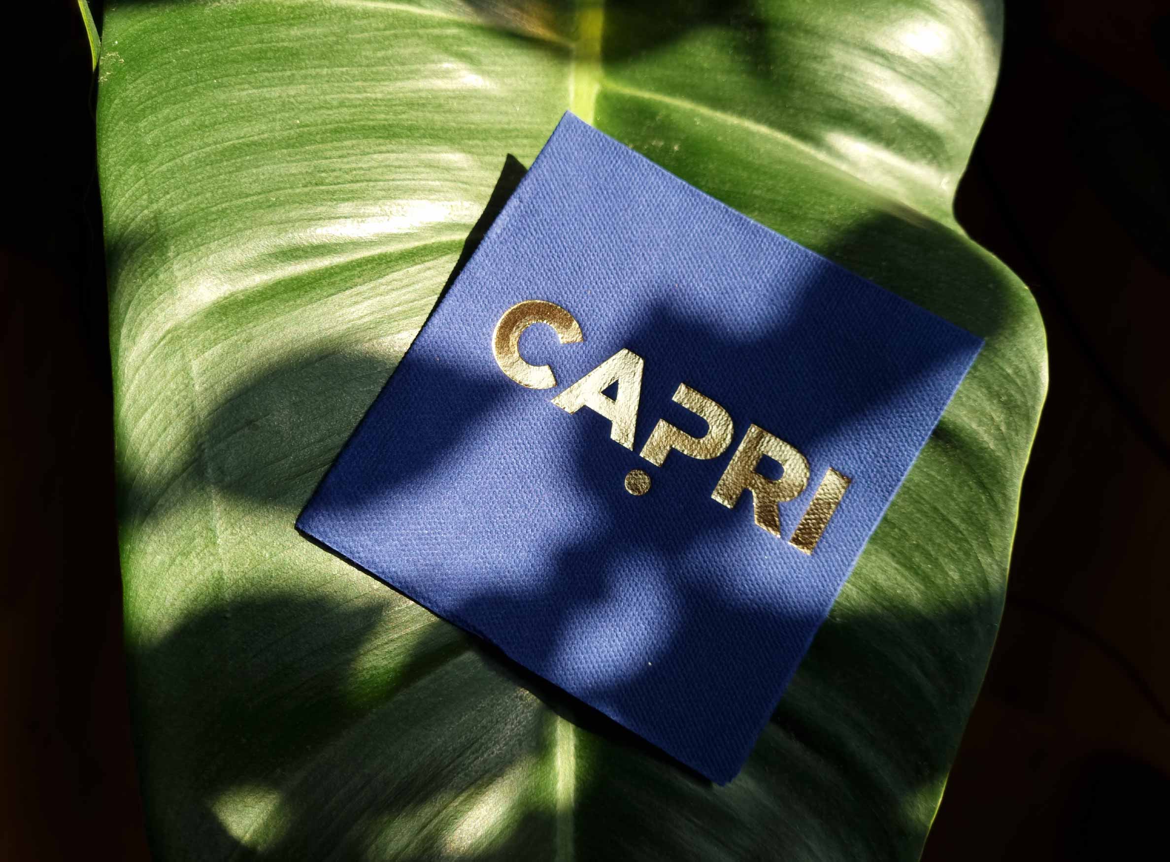 blue customised napkin with gold print
